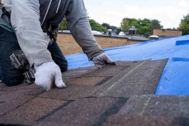 Best Emergency Roof Repair  in Hamtramck, MI